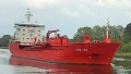 GOLDEN ORCHID
