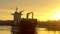 MSC VERA F