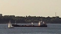 FREDERICIA